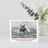 Carte Postale Dogge : le chien pour les agents secrets (Debout devant)