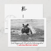 Carte Postale Dogge : le chien pour les agents secrets (Devant / Derrière)