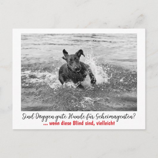 Carte Postale Dogge : le chien pour les agents secrets (Devant)