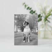 Carte Postale Doggenhaus (Debout devant)