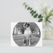 Carte Postale Doggenhaus (Debout devant)