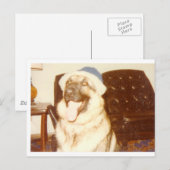 Carte Postale Doggie_Casquette (Devant / Derrière)