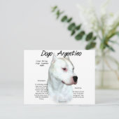 Carte Postale Dogo Argentino Histoire Design (Debout devant)