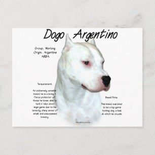 Carte Postale Dogo Argentino Histoire Design