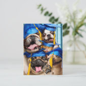 Carte Postale Dogs and Cat Grads in Photo Booth (Debout devant)