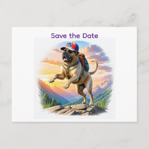 Carte Postale Dogue allemand Mastiff en montagne en vacances