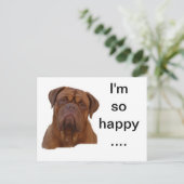 Carte Postale Dogue de Bourdeaux (Debout devant)