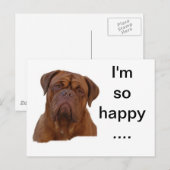 Carte Postale Dogue de Bourdeaux (Devant / Derrière)