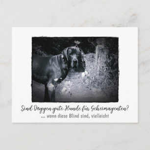 Carte Postale Dogue : le chien pour les agents secrets