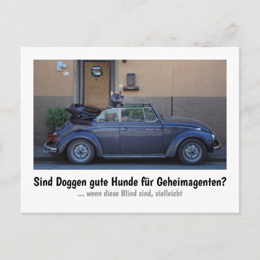Carte Postale Dogue : le chien pour les agents secrets (Devant)