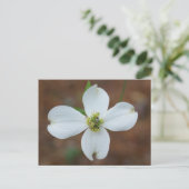 Carte Postale Dogwood Bloom (Debout devant)