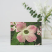 Carte Postale Dogwood Blossom (Debout devant)