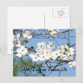 Carte postale Dogwood Flower (Devant / Derrière)