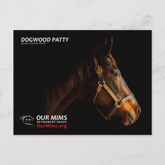 Carte postale Dogwood Patty (Devant)