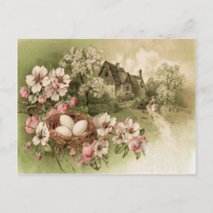 Carte Postale Dogwood Tree Oiseau Nid Oiseau Cottage OEuf