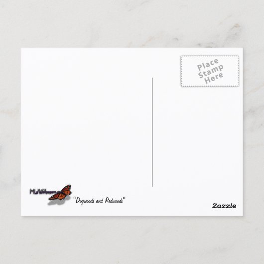 Carte Postale Dogwoods et séquoias dans le parc national Yosemit (Dos)