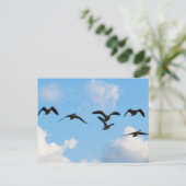 Carte postale d'oies de vol (Debout devant)