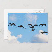 Carte postale d'oies de vol (Devant / Derrière)