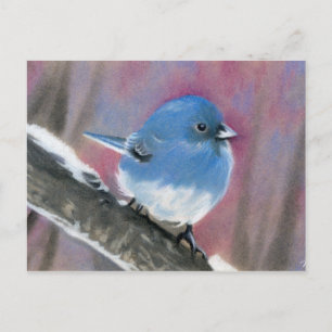 Carte postale d'oiseau de beauté hivernale