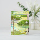 Carte postale d'oiseaux des Everglades (Debout devant)