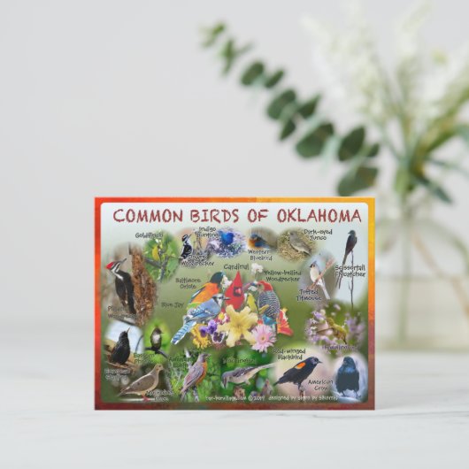 carte postale d'Oklahoma 19r (Debout devant)