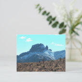 Carte Postale Dolan Mitten à neige (Debout devant)