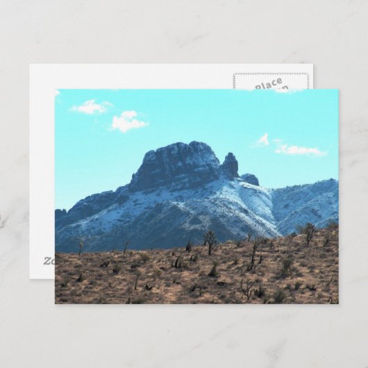 Carte Postale Dolan Mitten à neige (Devant / Derrière)