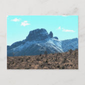 Carte Postale Dolan Mitten à neige (Devant)