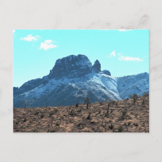 Carte Postale Dolan Mitten à neige (Devant)