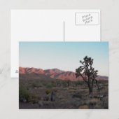 Carte Postale Dolan Springs (Devant / Derrière)