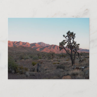 Carte Postale Dolan Springs