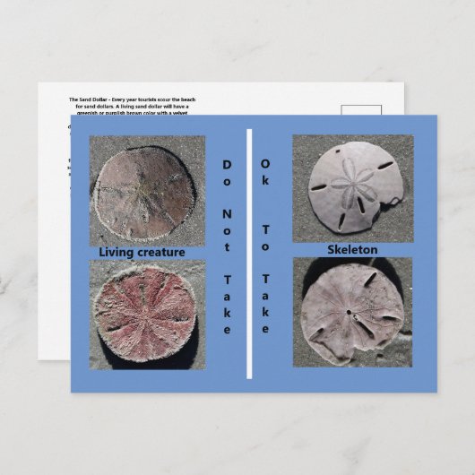 Carte postale dollar (Devant / Derrière)