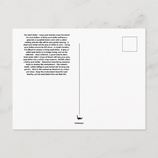 Carte postale dollar (Dos)