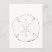 Carte postale Dollar de sable (Devant)