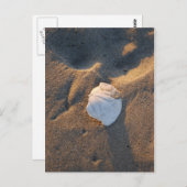 Carte Postale dollar de sable sur la plage (Devant / Derrière)