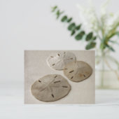 Carte Postale Dollars de sable vintages (Debout devant)