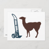 Carte Postale Dolly llama (Devant / Derrière)
