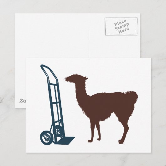 Carte Postale Dolly llama (Devant / Derrière)