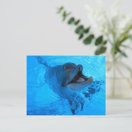 Carte postale Dolphin (Debout devant)