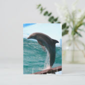 Carte postale Dolphin (Debout devant)