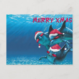 Carte Postale Dolphin Santa Hat Noël drôle