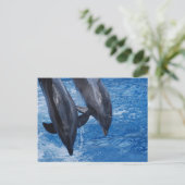 Carte postale Dolphin Show (Debout devant)