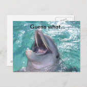 Carte postale Dolphin souriant (Devant / Derrière)