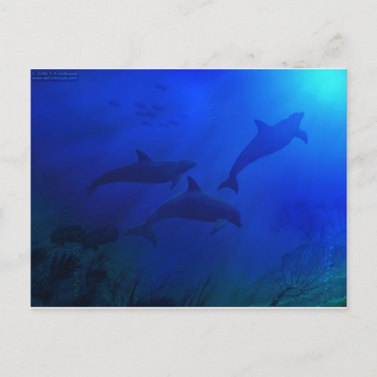 CARTE POSTALE DOLPHINS SOUS L'EAU (Devant)