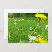 Carte Postale Domaine danois (Devant / Derrière)