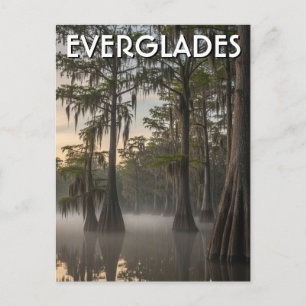 Carte Postale Dôme de cyprès Everglades Parc national Floride