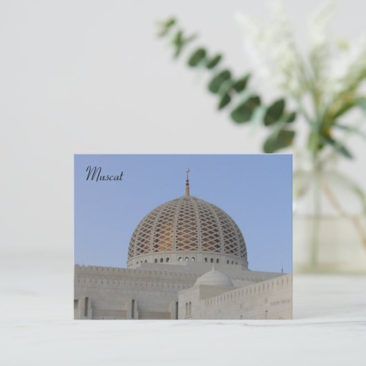 Carte Postale dôme de muscat (Debout devant)