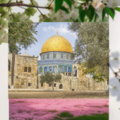 Carte Postale Dôme Du Rocher Sainte Mosquée Jérusalem Palestine