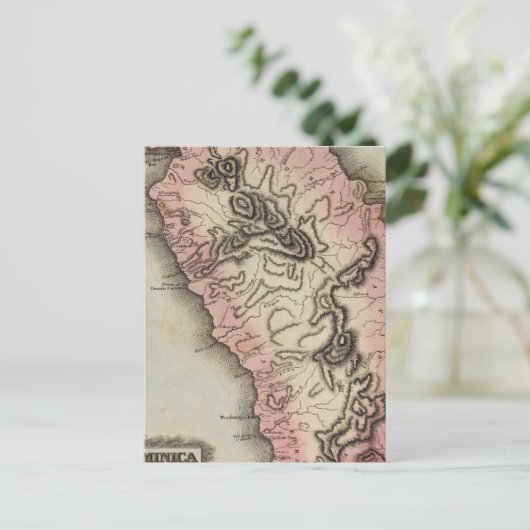 Carte Postale Dominique (Debout devant)