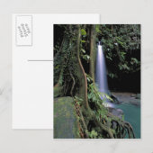 Carte Postale Dominique, Piscine d'émeraude, Cascade. (Devant / Derrière)